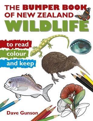 Bumper NZ Read and Colour