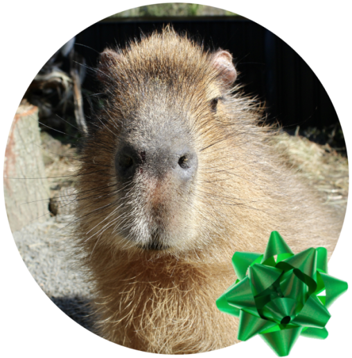 Capybara Encounter - Child