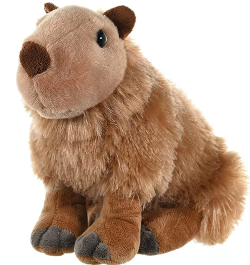 Capybara - 30cm