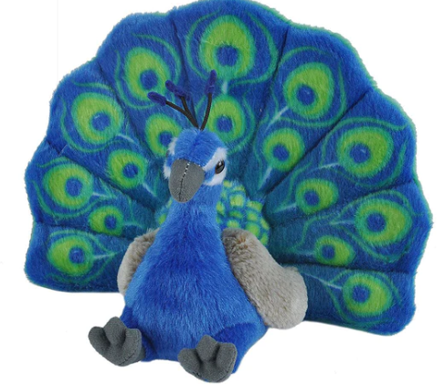 Peacock - 30cm
